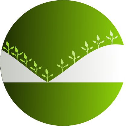 icon02